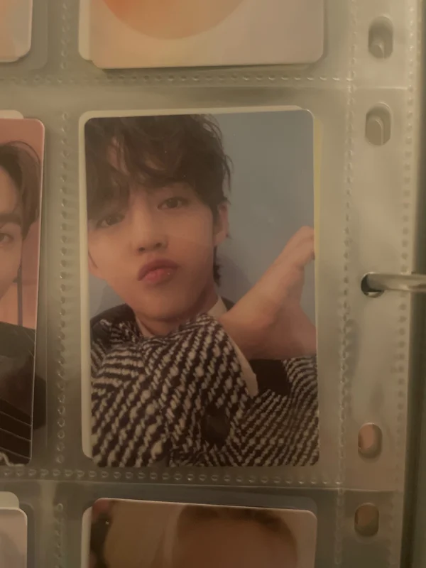 FML Faded Mono Life Ver. Scoups