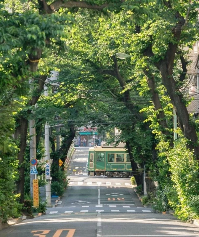 green_greentree