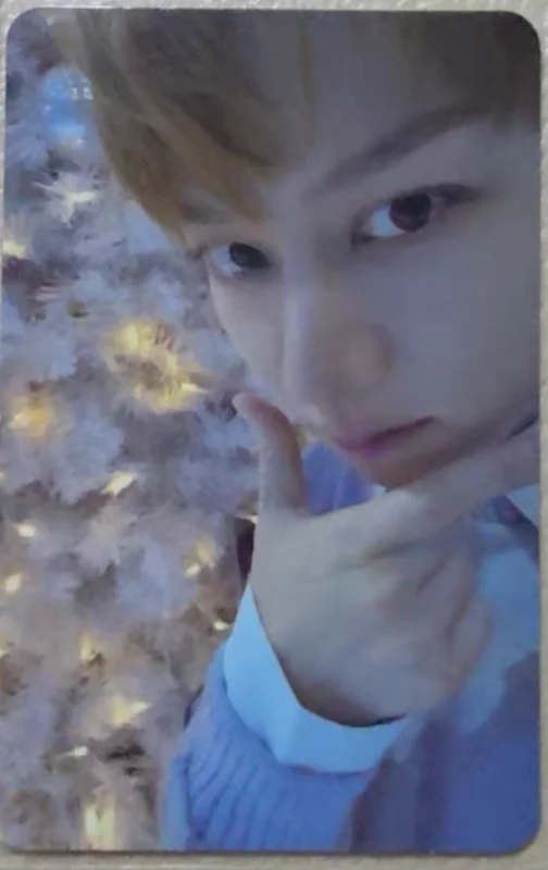 The Road : Celebration