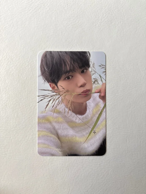 EUPHORIA STAR ROAD ver.