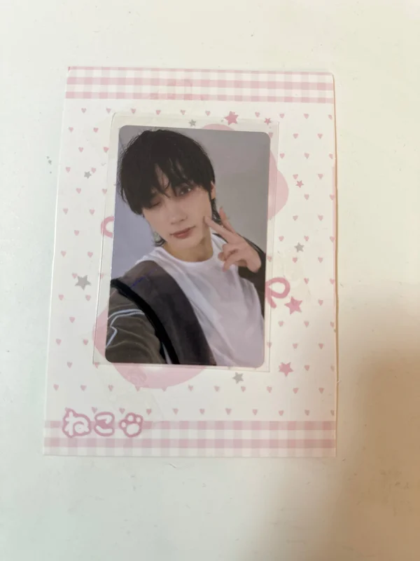 The Star Chapter: SANCTUARY CU