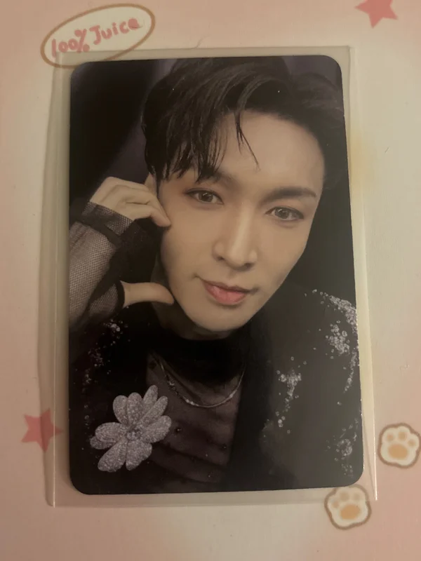 REVERXE Compact Ver.