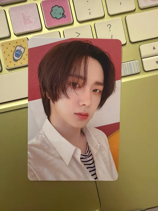 19.99 Nice ver.