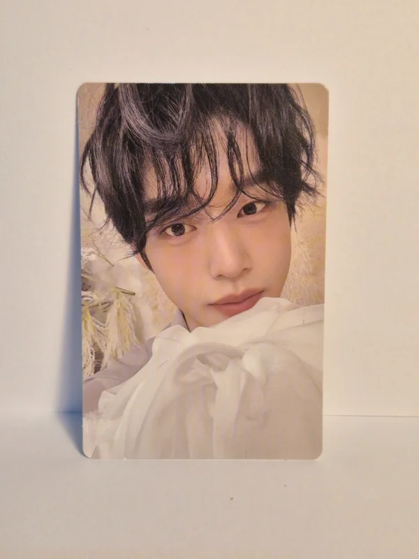 BLUE PARADISE HIDE Ver.