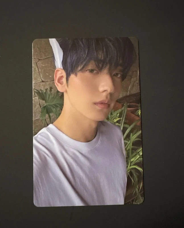 The Star Chapter: SANCTUARY ANGEL Ver.