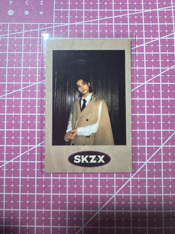 Hyunjin Stray Kids 1ST #LoveSTAY SKZ-X [SKZ-X GOODS] PRE-ORDER SPECIAL GIFT