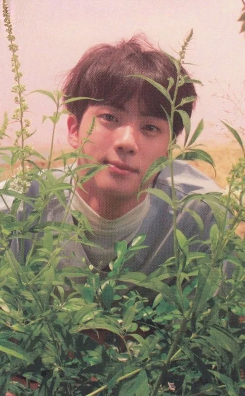 Jin Love Yourself Her photocard