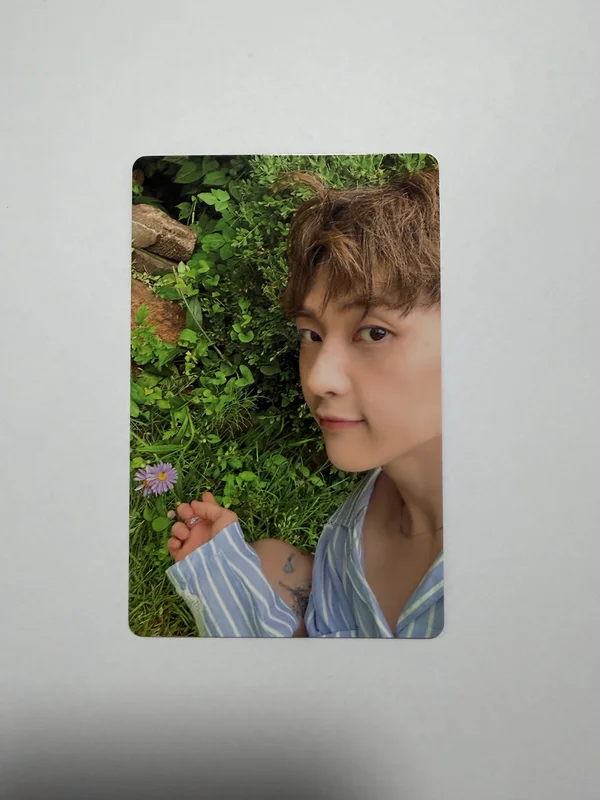 CINEMA PARADISE ZEROSE ver.