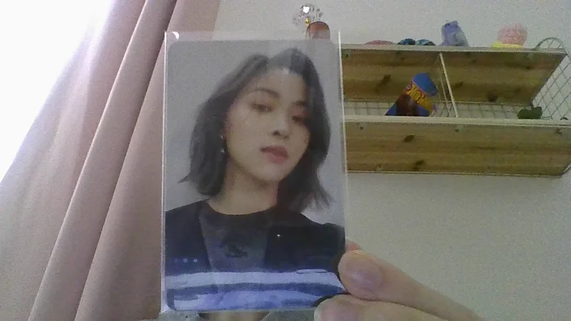 CHESHIRE STANDARD EDITION RYUJIN