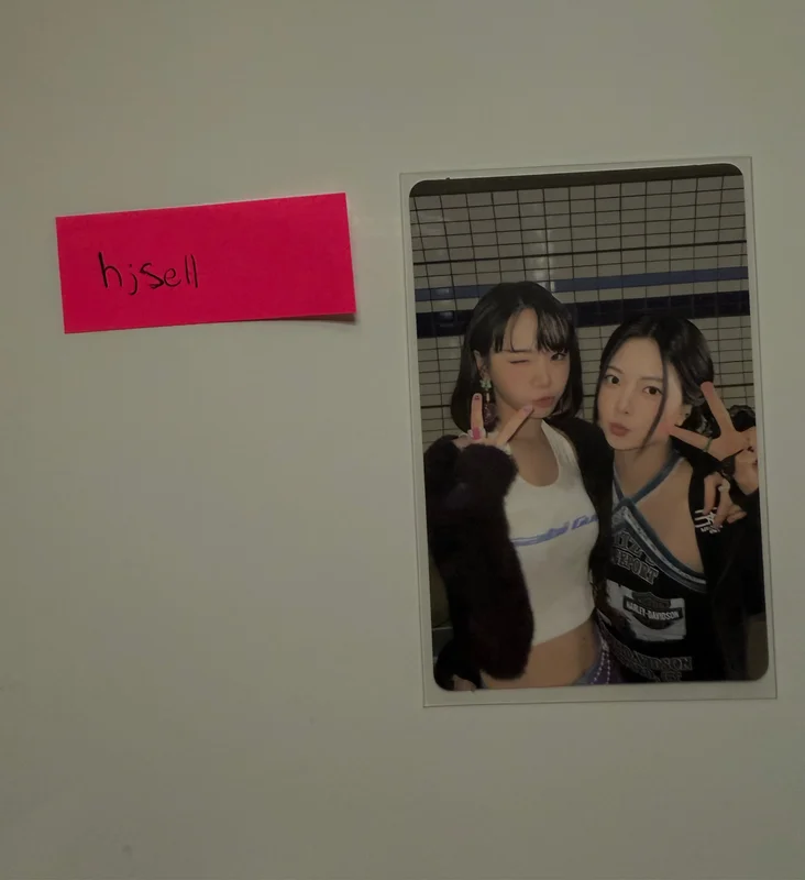 ANTIFRAGILE COMPACT Ver.