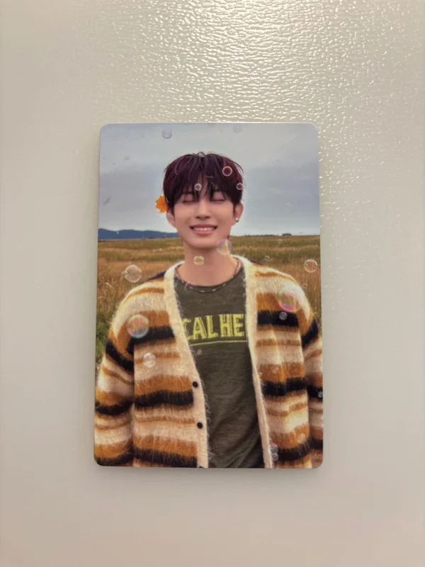 EUPHORIA RANDOM TRADING PHOTO CARD SET (STAR ROAD ver.)