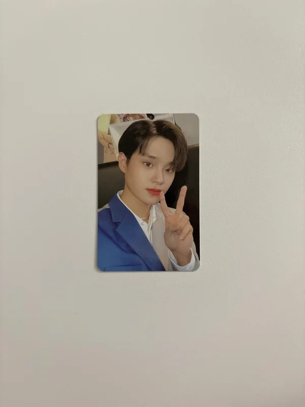 VIVID D VER.