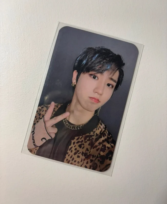 Stray Kids HAN IN LIFE MECIMA