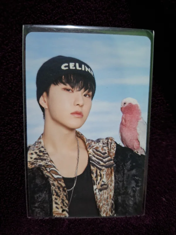 DICON D'FESTA MINI EDITION : SEVENTEEN