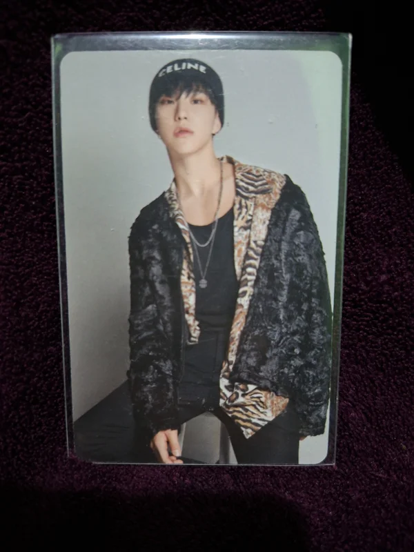 DICON D'FESTA MINI EDITION : SEVENTEEN