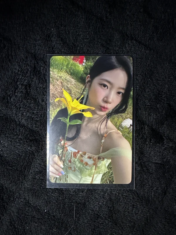 DICON ISSUE N14 LE SSERAFIM PURENESS