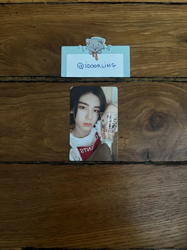 19.99 Nice ver.