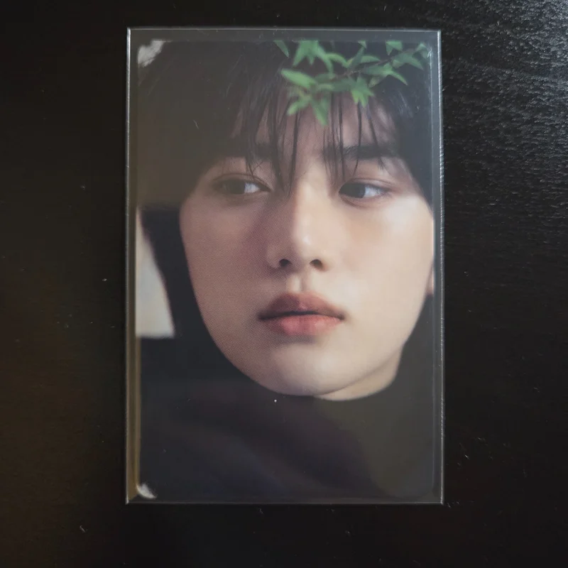 DICON D'FESTA MINI EDITION : TXT