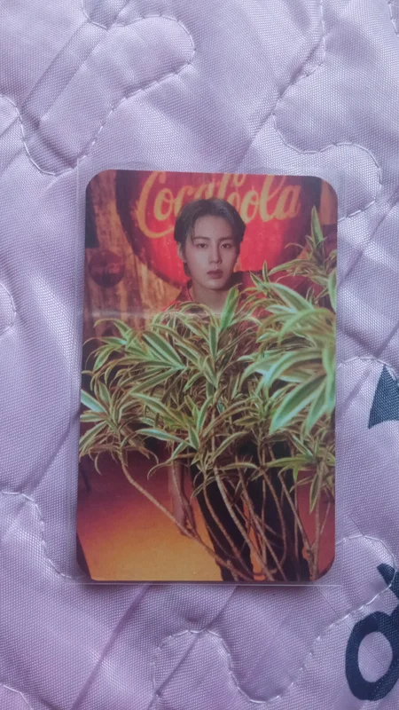 Select Shop MIHWADANG RECORD