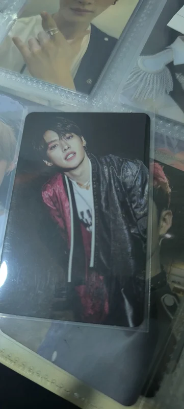 INLIFE STANDARD VER.