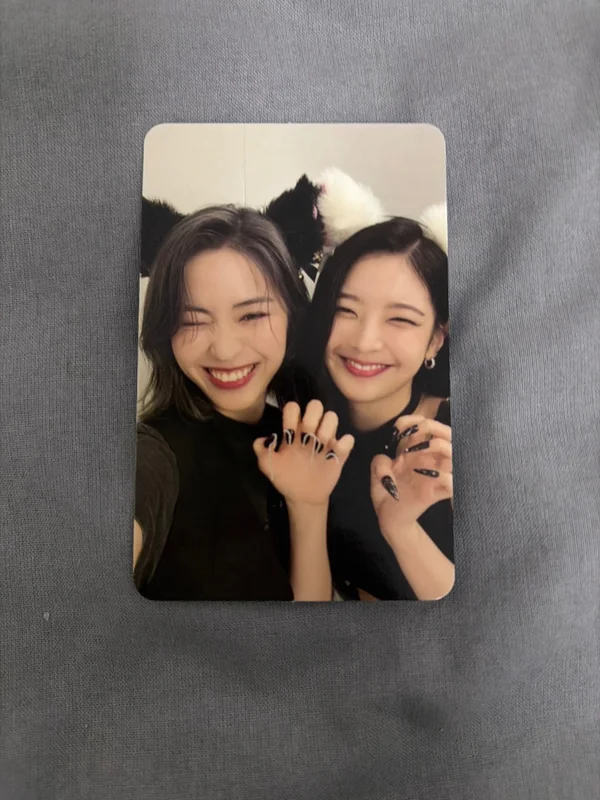 CHESHIRE STANDARD EDITION