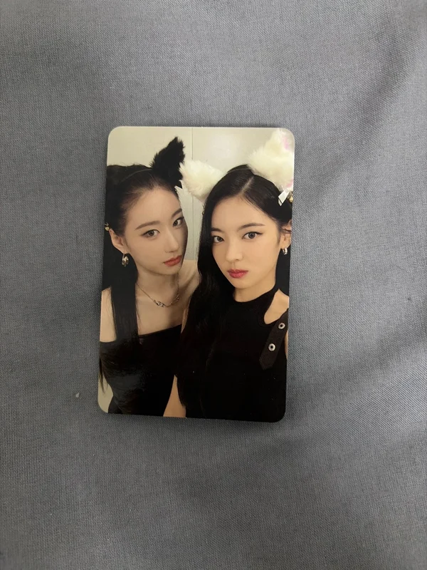 CHESHIRE STANDARD EDITION