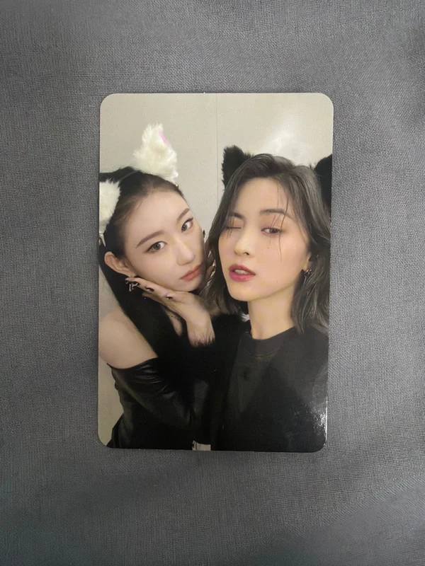 CHESHIRE STANDARD EDITION