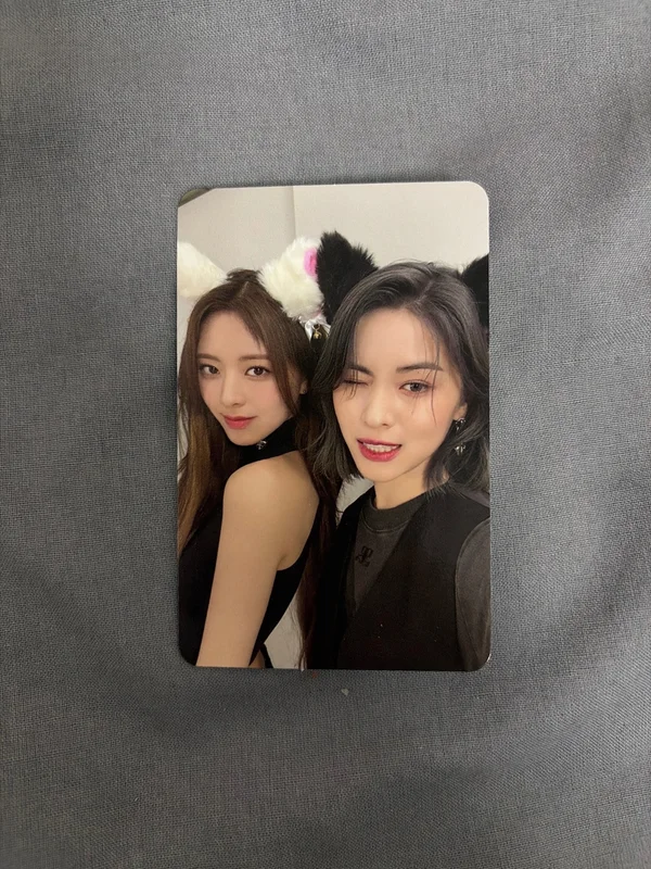 CHESHIRE STANDARD EDITION