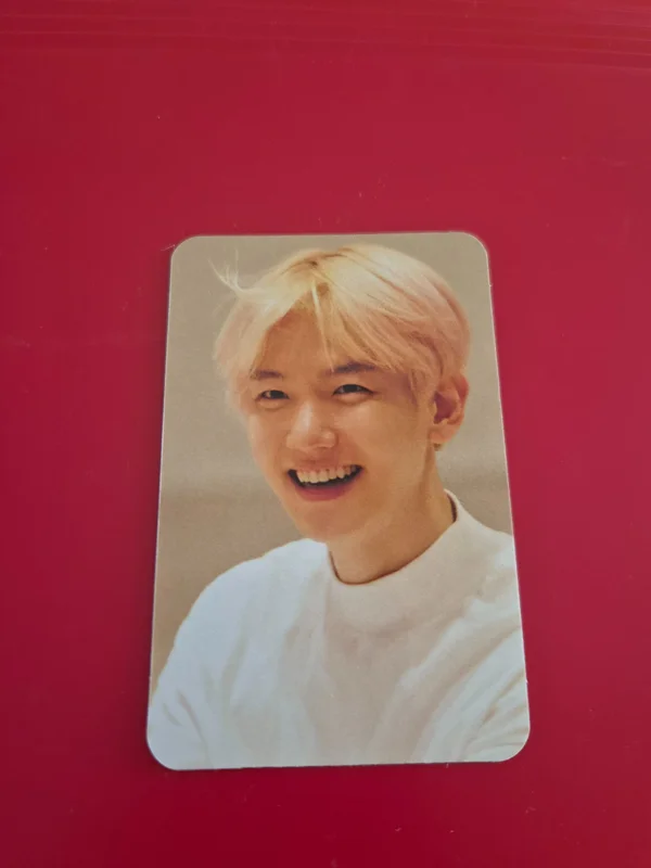 WE ARE THE FUTURE LIVE in EUROPE CARD SET