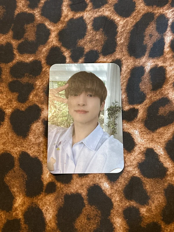 THE BOYZ WORLD TOUR : THE B-ZONE IN EUROPE PHOTOCARD SET