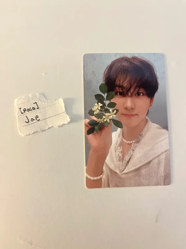 ORANGE BLOOD KALPA ver.