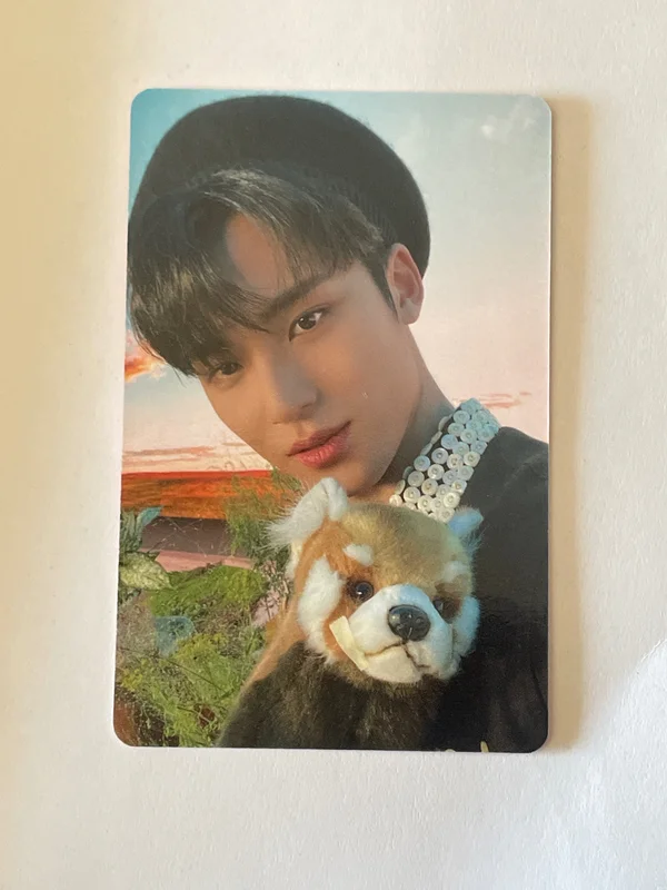 DICON D'FESTA MINI EDITION : SEVENTEEN