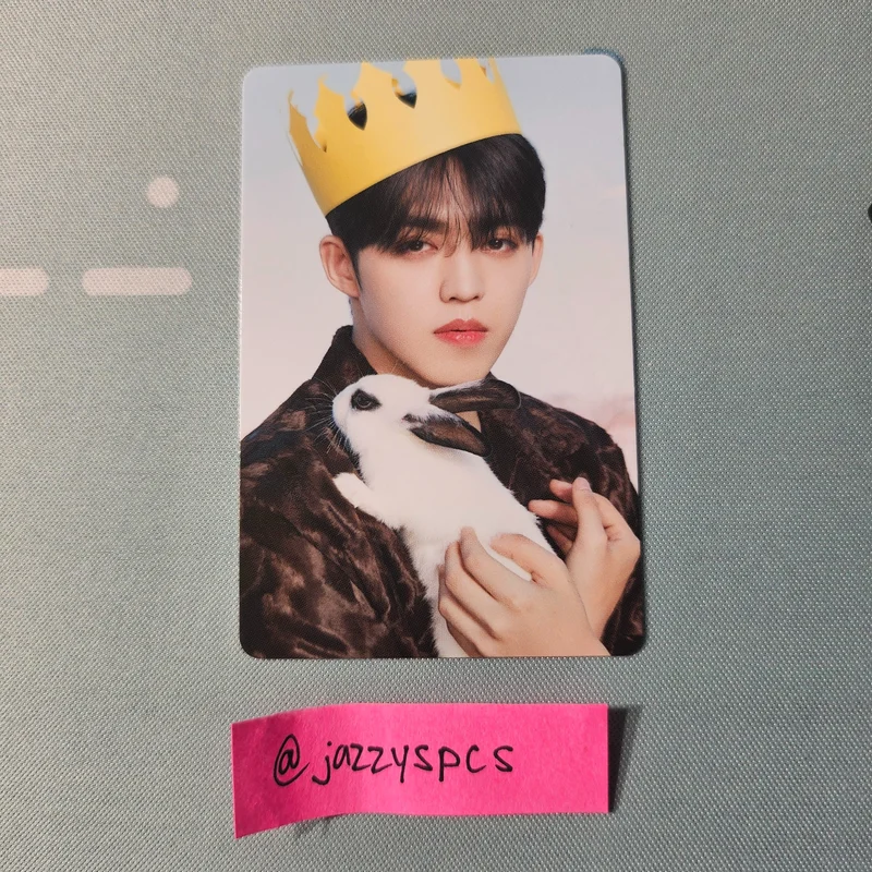 DICON D'FESTA MINI EDITION : SEVENTEEN