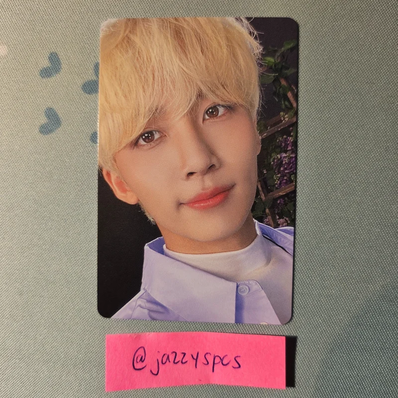 DICON D'FESTA MINI EDITION : SEVENTEEN