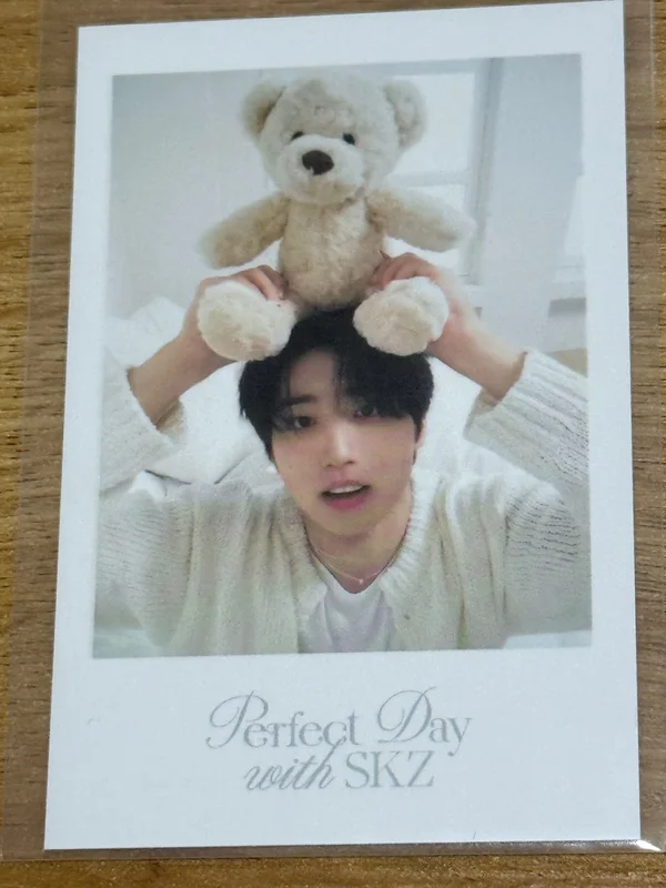 Stray Kids 2024 SEASON'S GREETINGS - Perfect Day with SKZ