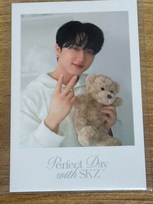 Stray Kids 2024 SEASON'S GREETINGS - Perfect Day with SKZ