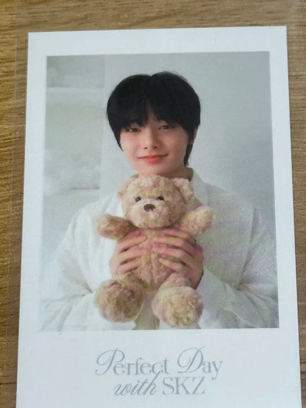 Stray Kids 2024 SEASON'S GREETINGS - Perfect Day with SKZ