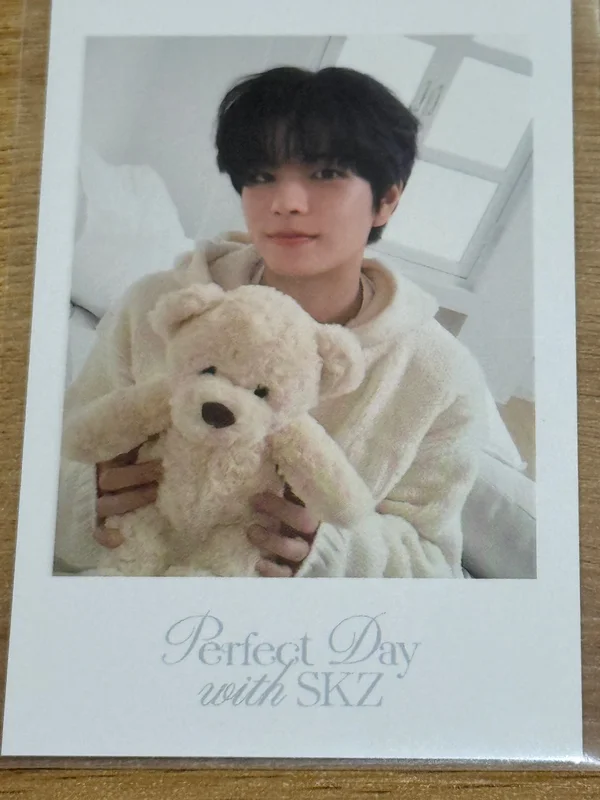Stray Kids 2024 SEASON'S GREETINGS - Perfect Day with SKZ