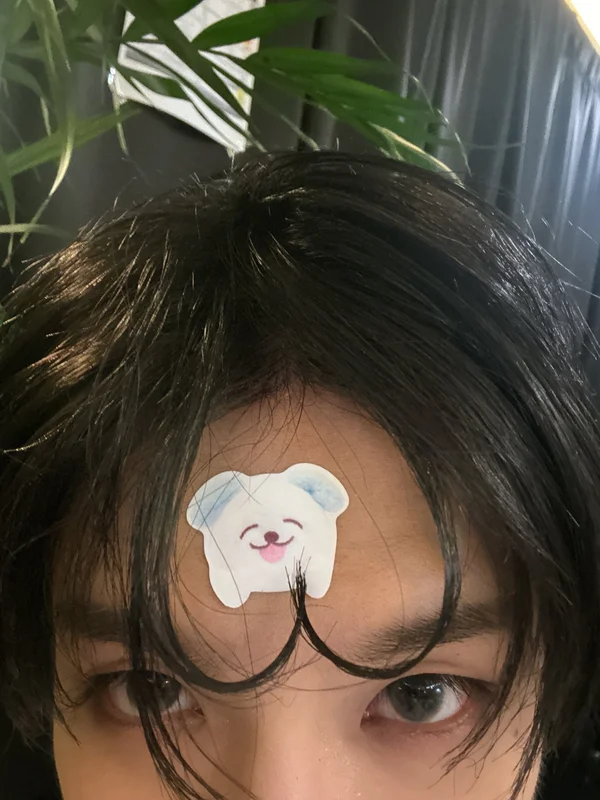 jenmoroll