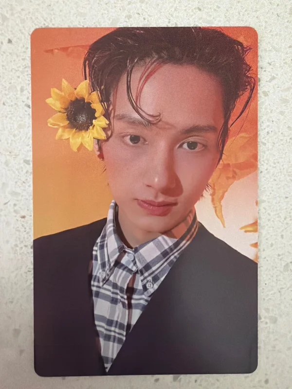 17 IS RIGHT HERE HERE Ver.