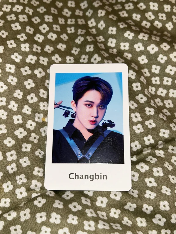 Stray Kids 2nd World Tour MANIAC in JAPAN Photo card set