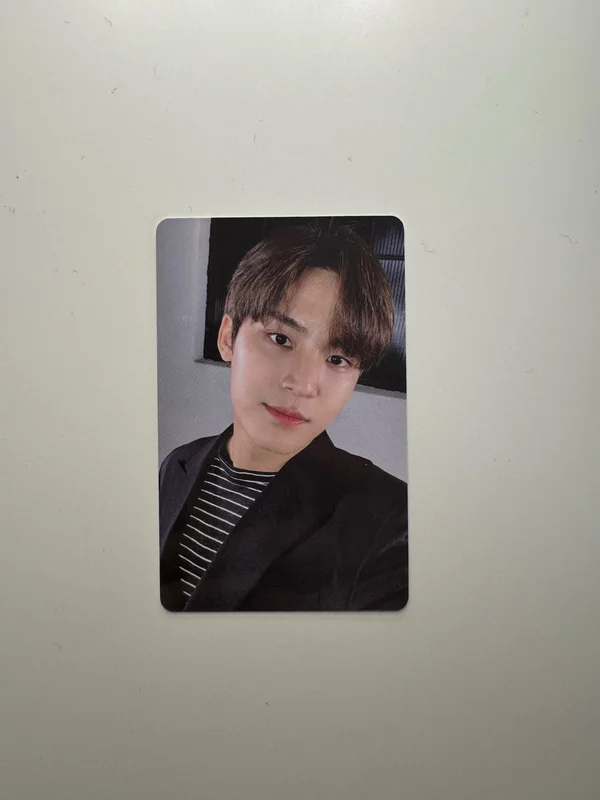SEVENTEEN 2019 SEASON'S GREETINGS