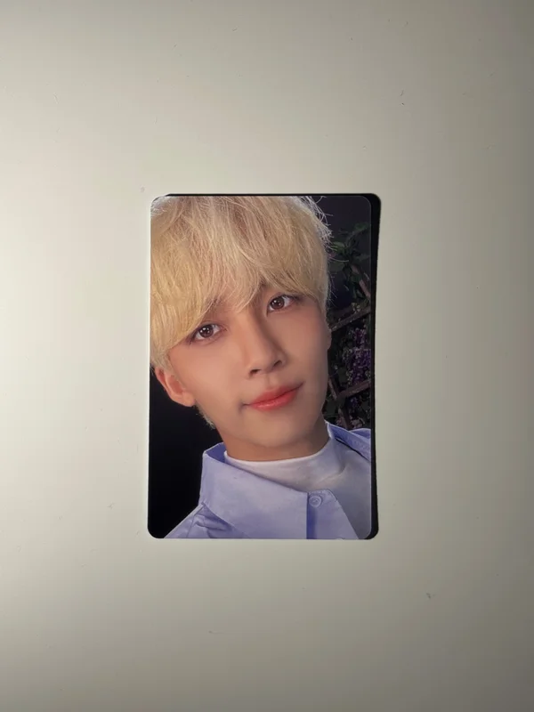 DICON D'FESTA MINI EDITION : SEVENTEEN