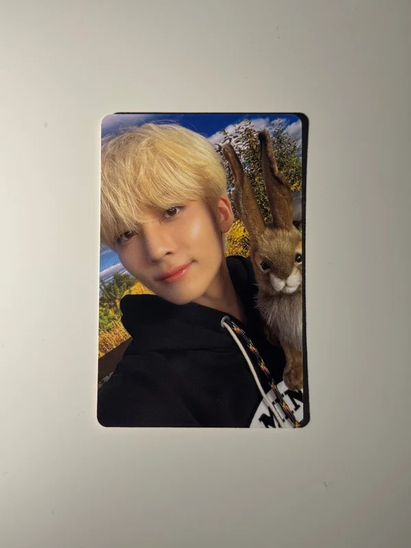 DICON D'FESTA MINI EDITION : SEVENTEEN