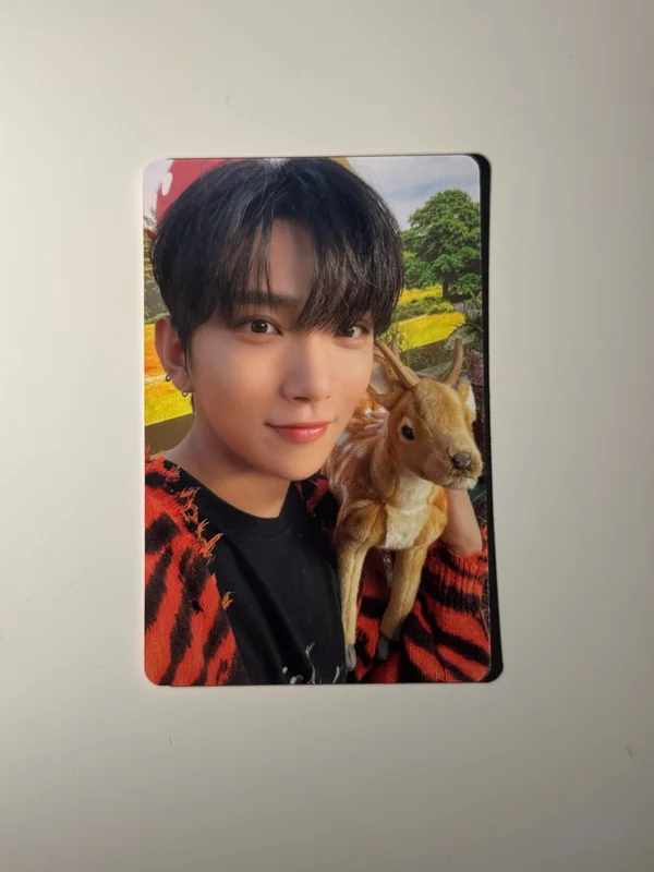 DICON D'FESTA MINI EDITION : SEVENTEEN