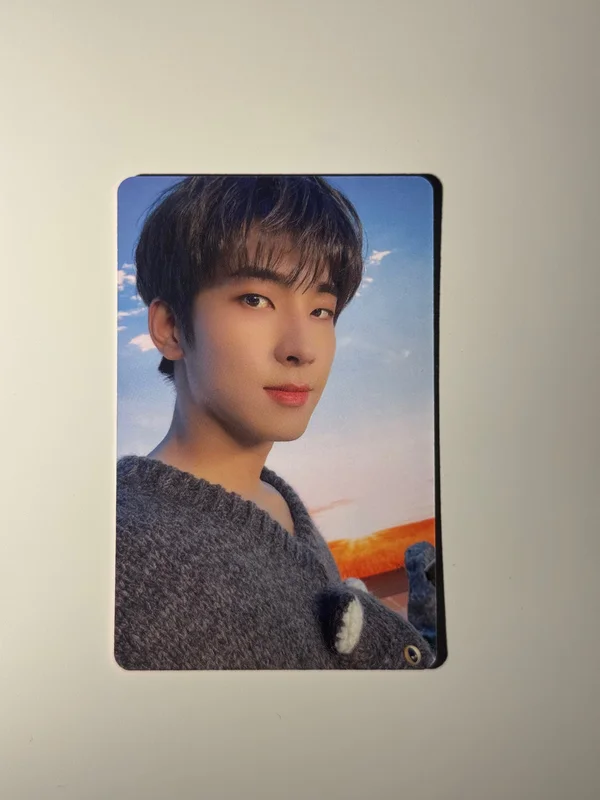 DICON D'FESTA MINI EDITION : SEVENTEEN