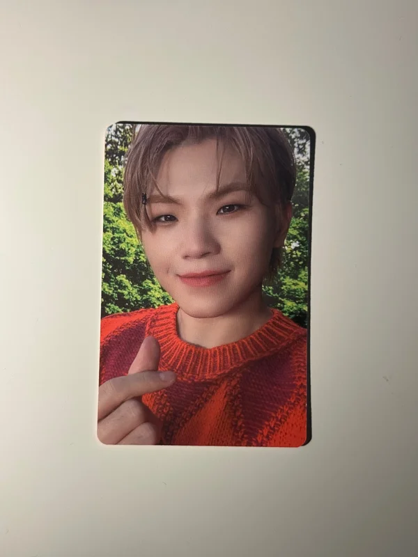 DICON D'FESTA MINI EDITION : SEVENTEEN