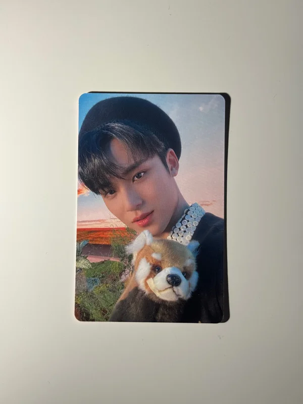 DICON D'FESTA MINI EDITION : SEVENTEEN