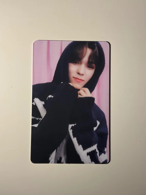 DICON D'FESTA MINI EDITION : SEVENTEEN