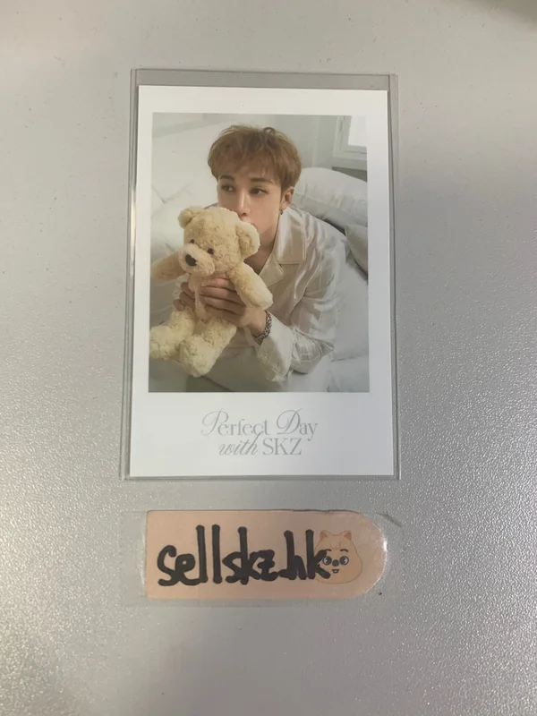 Stray Kids 2024 SEASON'S GREETINGS - Perfect Day with SKZ